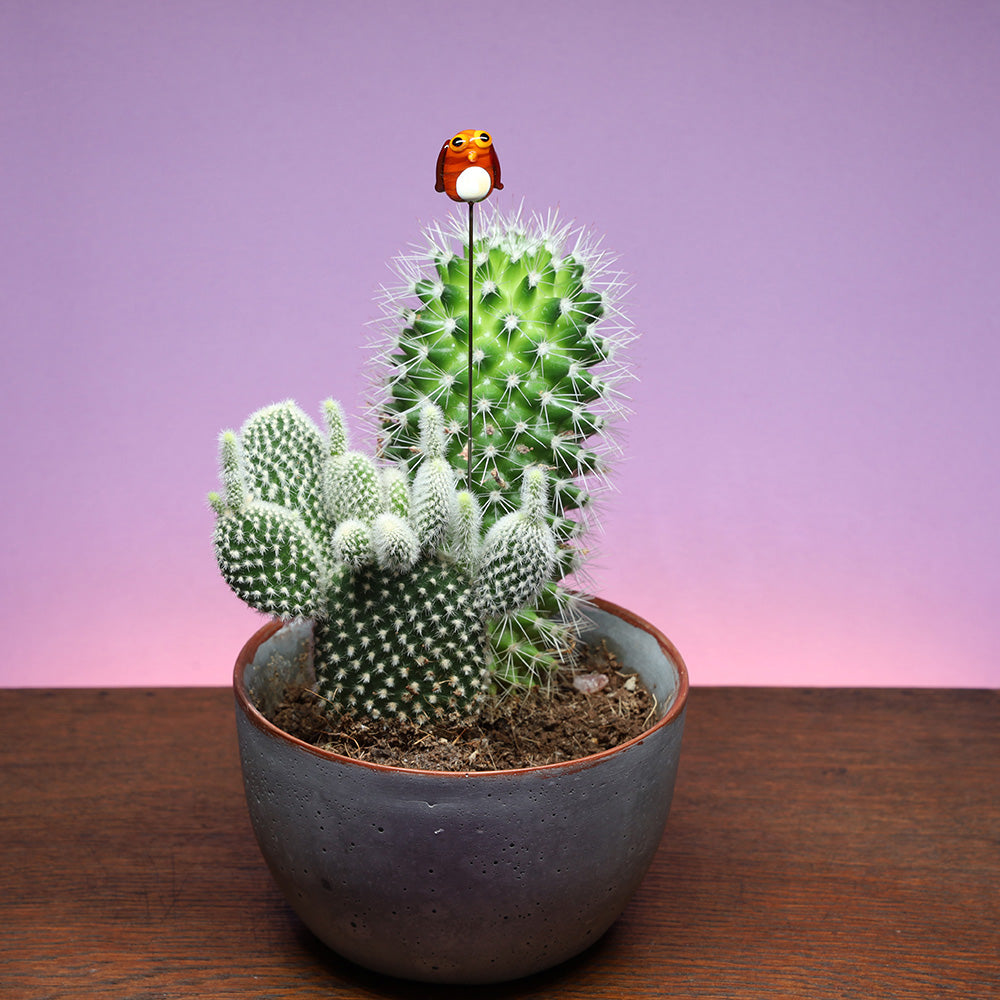 Owl Plant Decoration