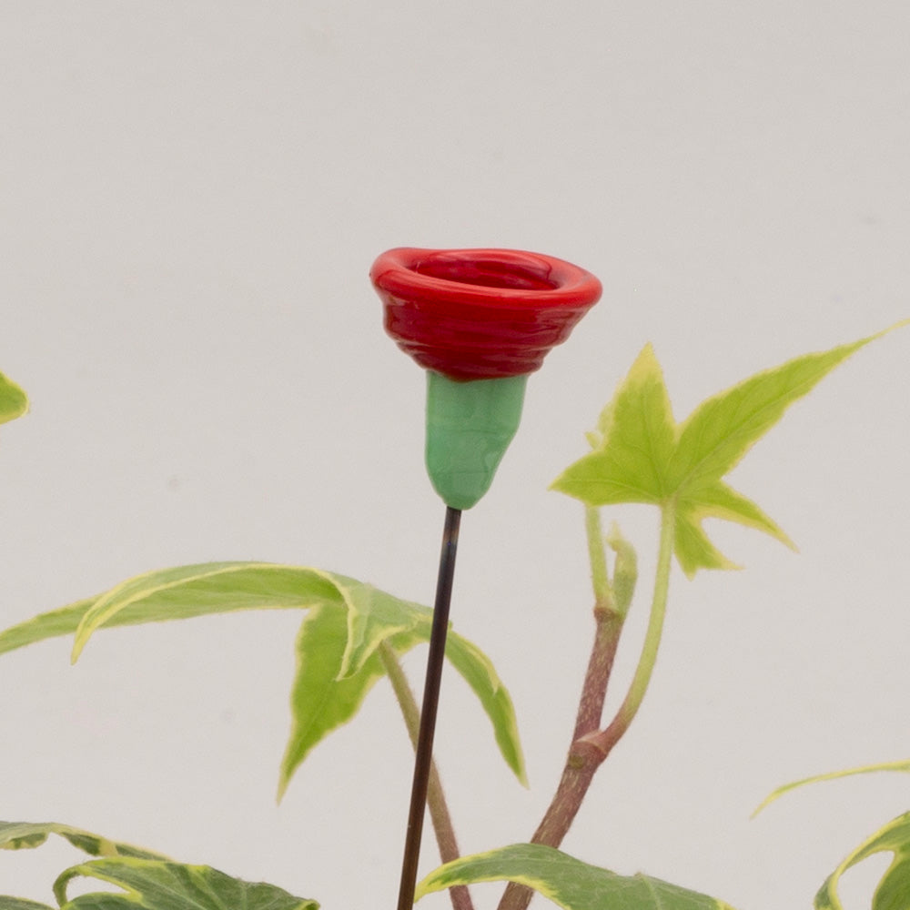 close up of red flower plant decoration. The flower has a green stem and bright red bowl shape.