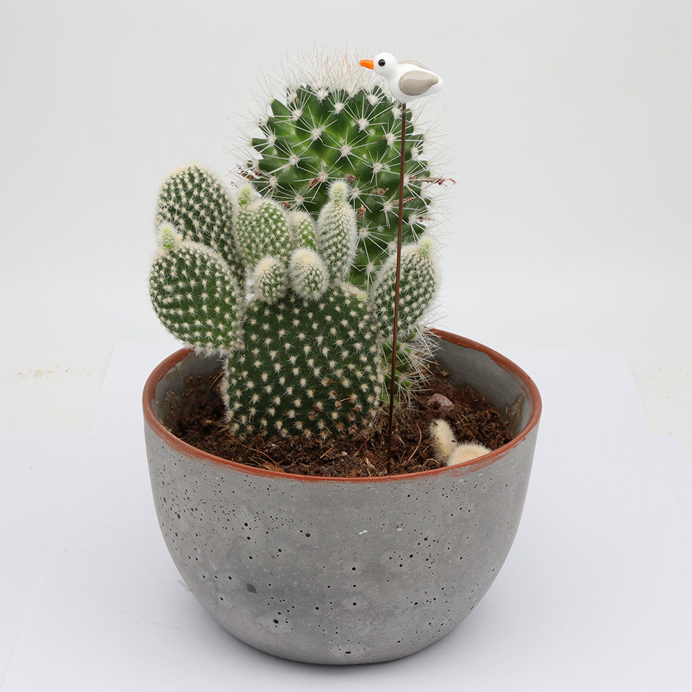 Seagull Plant Decoration