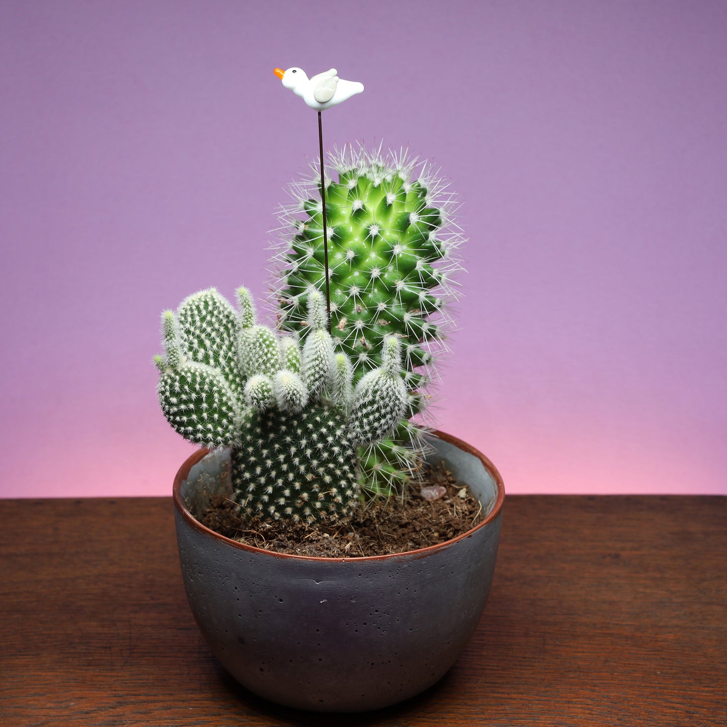 Seagull Plant Decoration