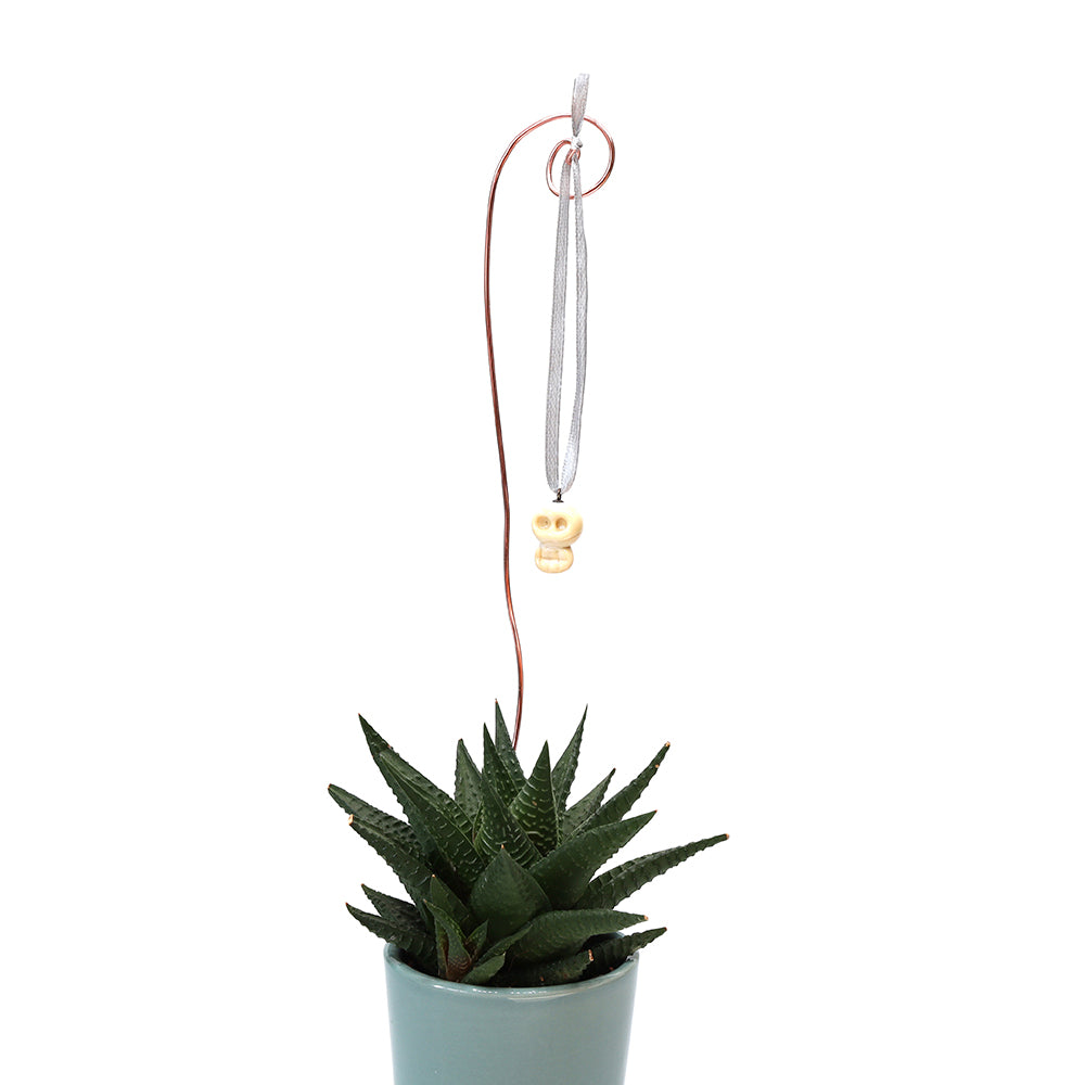 Tiny Glass Skull Hanging Decoration