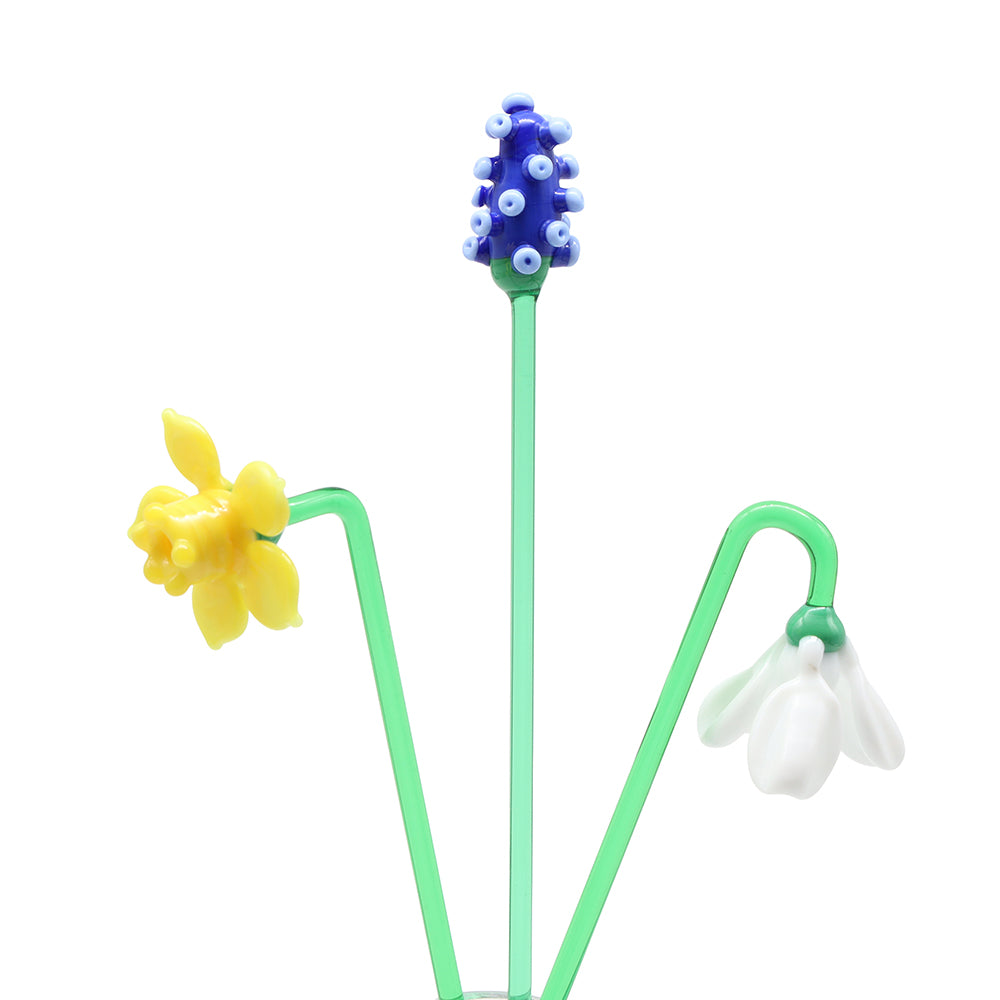 Daffodil Flower