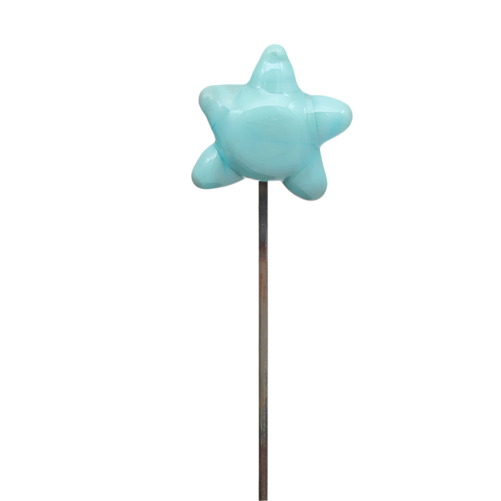 Starfish Plant Decoration