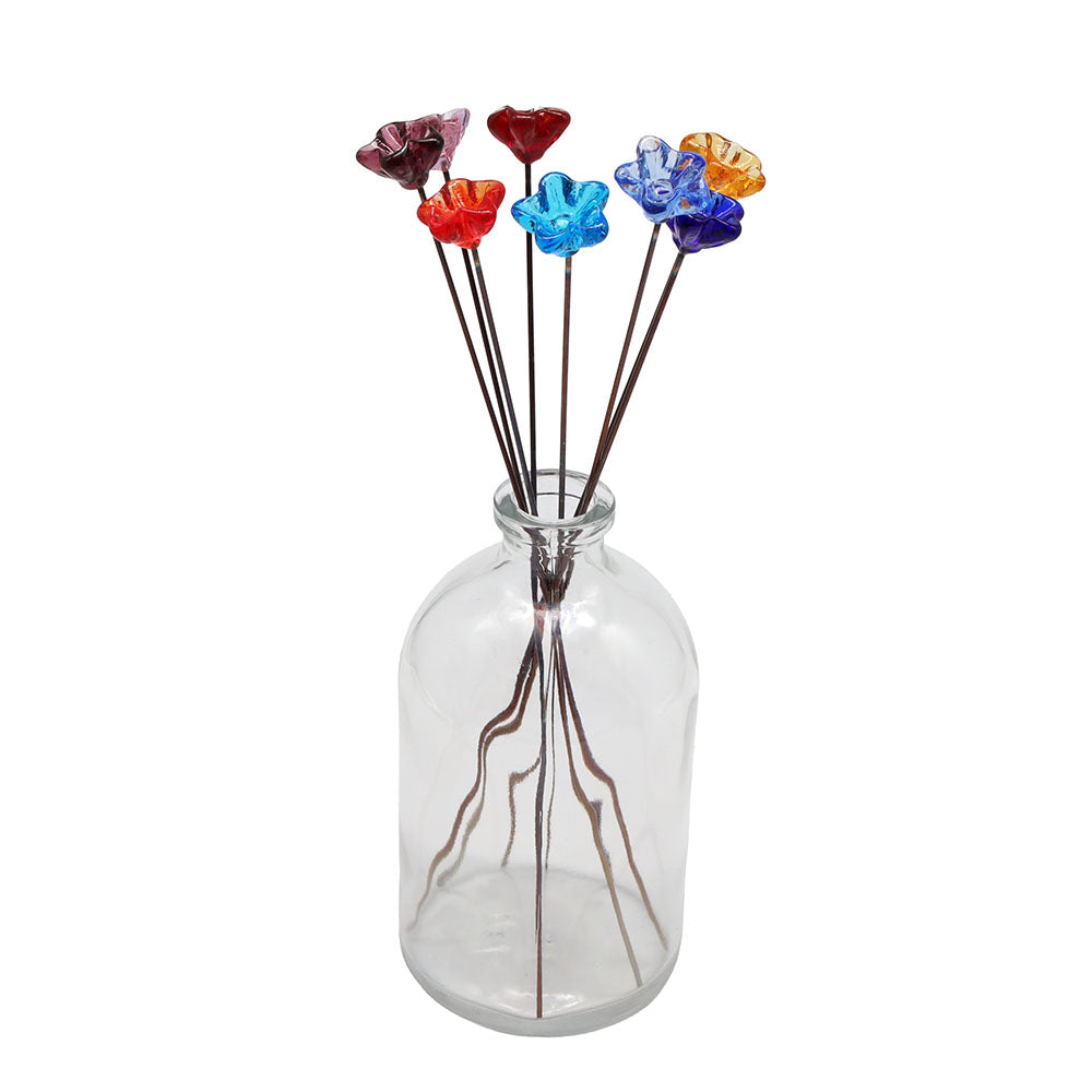 Rainbow of Transparent Glass Star Flowers with Vase
