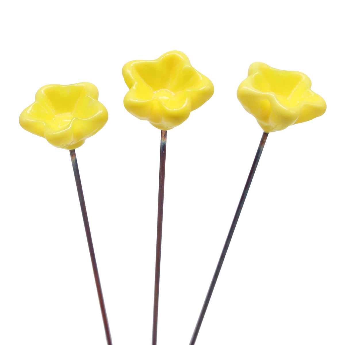 Yellow Glass Star Flower